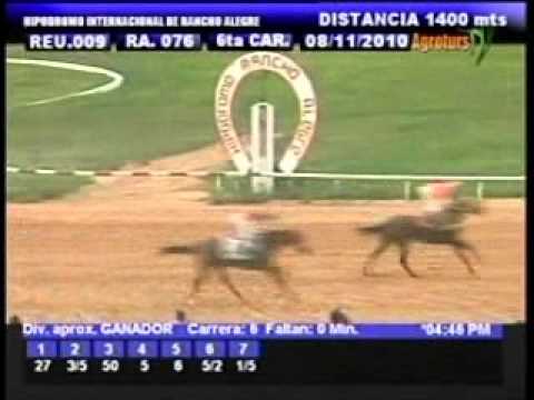 Resumen Lunes, 08 de Noviembre de 2010 - Rancho Alegre