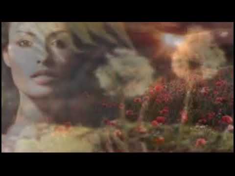 Trazila je Zajdi Zajdi    Martin Vucic