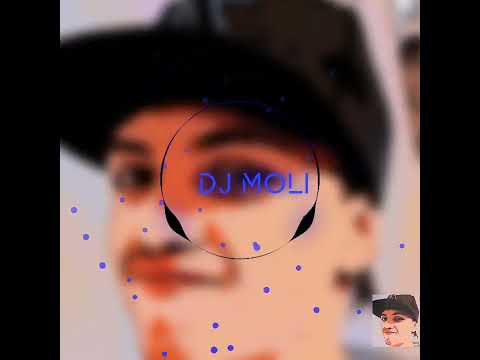 dj moli