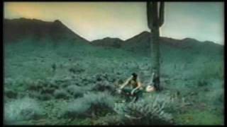 tennessee official-tennesse official-MPEG-4 .mp4