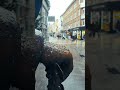 Dublin On A Rainy Day ️