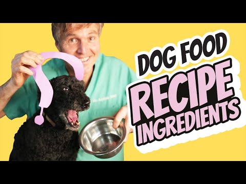 The Essential Ingredients for Homemade Dog Food