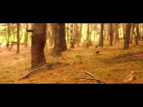 Bažantnice Ploužnice 2015