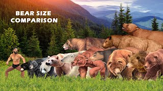 Bear Size Comparison Living and Extinct Bear Evolu