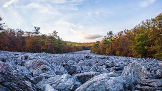 Hunted Bigfoot – Bigfoot’s Wilderness