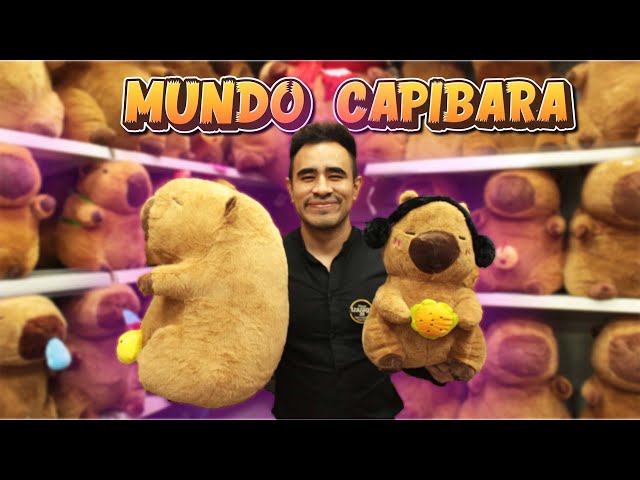 Vídeo relacionado con Dermalyx Set De 30 Llavero De Capibara, Encantadores Adornos De Capibara Para Bolsos, Divertidos Amuletos De Animales, Ideas De Regalo Para Cumpleaños Infantiles, Accesor