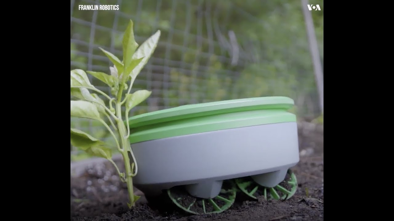Solar-powered robot gardener