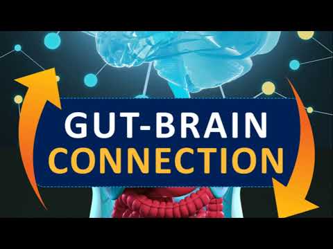 PROBIOTIC (HARVARD): The GUT-BRAIN Connection ...