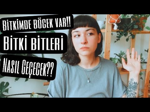 , title : 'Bitki Bakımına Yeni Başlayanlar İçin #4 | Bitkilerde Böceklenme & Çözümleri'