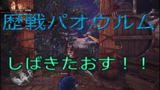 モンハンワールド　歴戦パオウルム大剣で狩る！余裕！