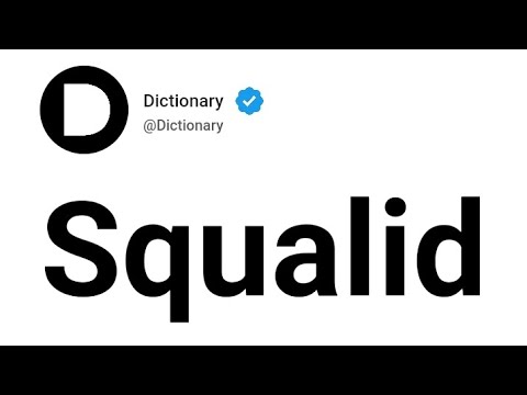 Squalid Meaning In English