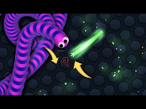 Tiny Pro Snake Destroys Giant Snakes - Epic Slither.io Gameplay!