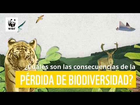 ¿Cuáles son las consecuencias de la pérdida de biodiversidad? | WWF Colombia