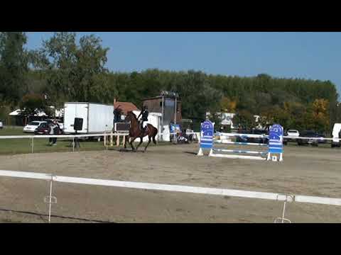 Vilja R125 Csongrád Megyei Felnőtt Döntő