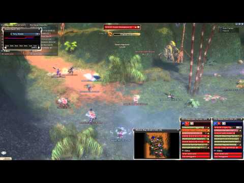 Guild Wars GvG 2014 01 30 Dirt vs Ns-misc