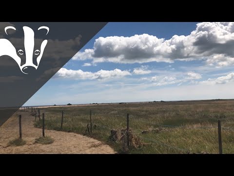 The Essex Coastal Challenge - Bradwell Shell Bank nature reserve