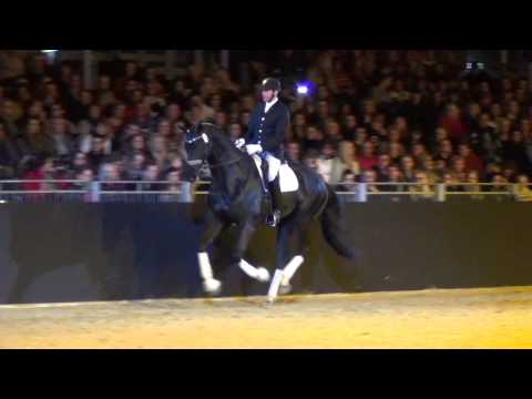 EquitanaHengstschau2013_EnzoFerrari