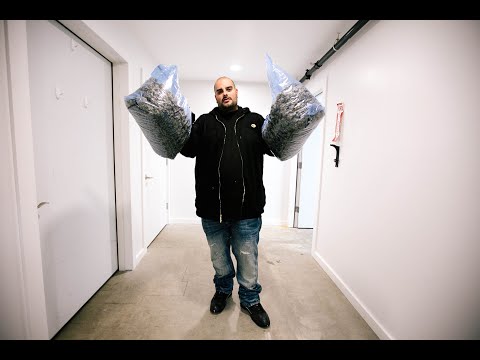 Berner ft. Tee Grizzley - "R.I.P" (Official Music Video)