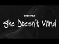 Sean Paul She Doesn T Mind Lyrics