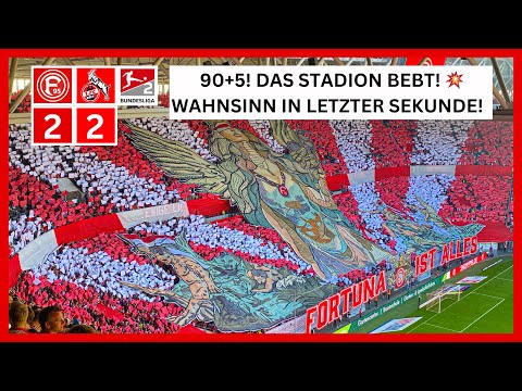 90+5! Lautester Torjubel! Fortuna Düsseldorf - 1.FC Köln 2:2 Alle Tore & Highlights 21.09.2024
