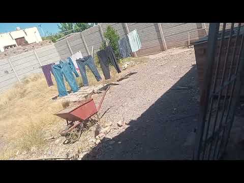 San juan visita el departamento de jachal tour nacional en el colectivo vallecito srl