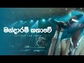 Mandaram Kathawe Live Cover By Lollipop