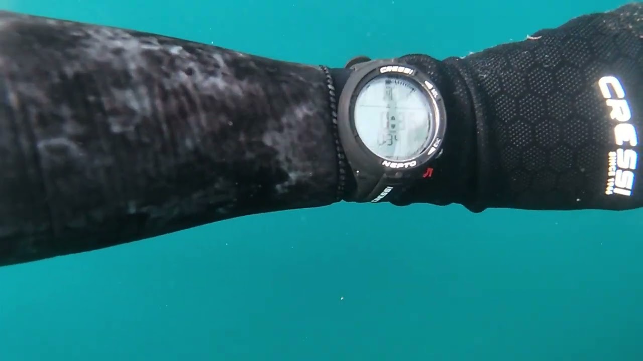 Montre Ordinateur Nepto Cressi