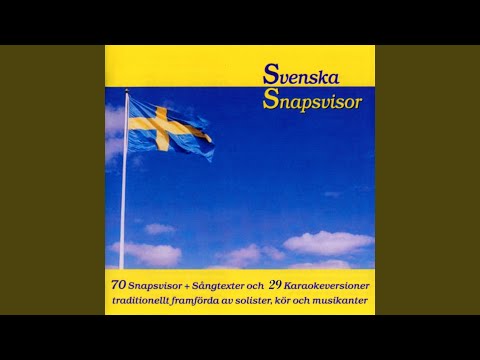 Mera brännvin i glasen