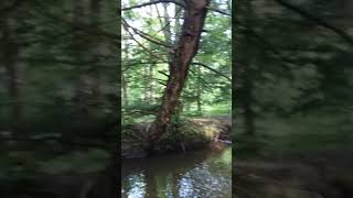 preview picture of video 'Kinzua Allegheny national forest "home" Blackwater creek.'