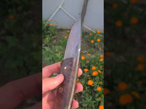 Handmade Damascus Buschraft Knife