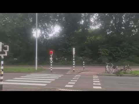 HTM Tramlijn 2 Leidschendam Noord - Den Haag Kraayenstein Via Hobbemastraat & Haagse Markt | 3095