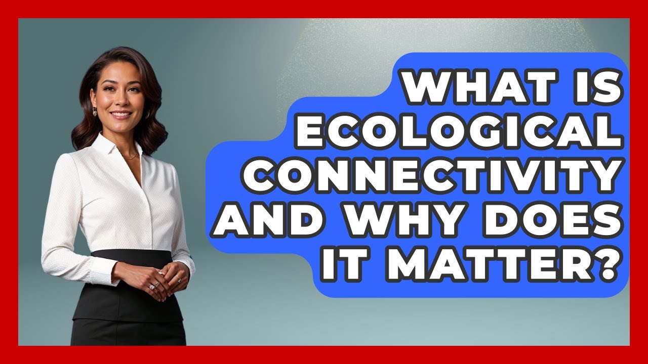 What Is Ecological Connectivity And Why Does It Matter? - Explaining Ecology