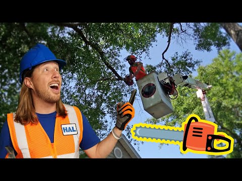 Lawn Mowers For Children | Tree Trimming | Awesome Kid Songs - Kingdom Kids Zone, Sing With Me - Handyman Hal - Music for Kids