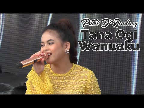 Lagu Bugis Tana Ogi Wanuaku di Cover Putri DA