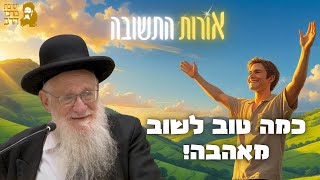 הרב יהושע מגנס | אורות התשובה | כמה טוב לשוב מאהבה! | ז' תמוז תשפ"ה | ישיבת מרכז הרב (ישיבת מרכז הרב) - התמונה מוצגת ישירות מתוך אתר האינטרנט יוטיוב. זכויות היוצרים בתמונה שייכות ליוצרה. קישור קרדיט למקור התוכן נמצא בתוך דף הסרטון הרב יהושע מגנס | אורות התשובה | כמה טוב לשוב מאהבה! | ז' תמוז תשפ"ה | ישיבת מרכז הרב (ישיבת מרכז הרב) - התמונה מוצגת ישירות מתוך אתר האינטרנט יוטיוב. זכויות היוצרים בתמונה שייכות ליוצרה. קישור קרדיט למקור התוכן נמצא בתוך דף הסרטון