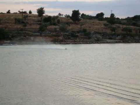 Bandit M 6s flip driver Jimmy