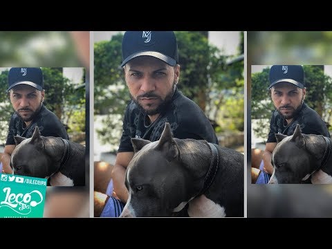 KEVIN O CHRIS - PITBULLZADO LORATCHO BRADOCK - DJ ZULLU