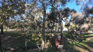 Episode 33: Active Waiting