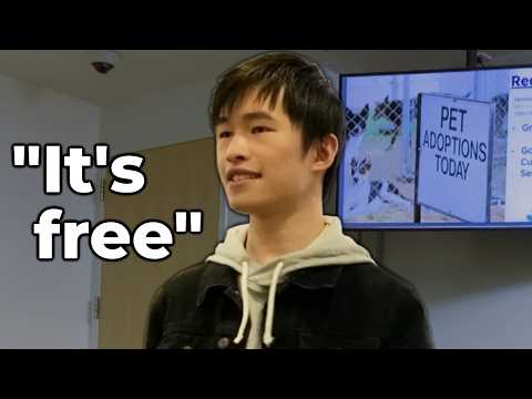 I Eat Pets from the Animal Shelter (Class Presentation)