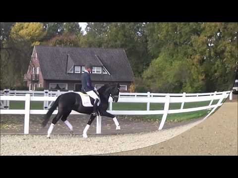 Quando Unico v. Quantensprung - Fidertanz