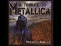 Metallic Assault - Tribute to Metallica - Seek and ...