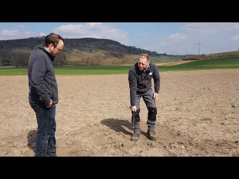 KWS Maisstorys 2021 - Tipps für die Maisaussaat #Bodenbearbeitung