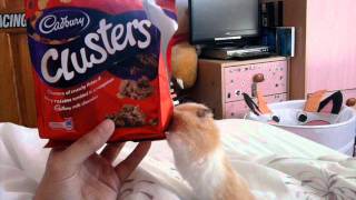 RIP Beautiful&#39;s; Loick essien~ Where i went wrong(L)