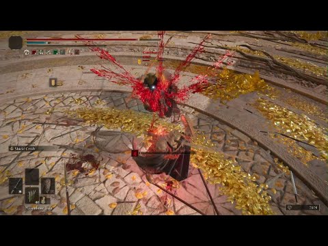 Elden Ring | The Sword and Board | Build up now