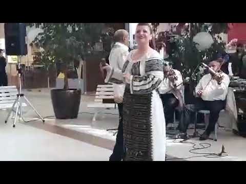 Ansamblul Profesionist  DANUBIUS