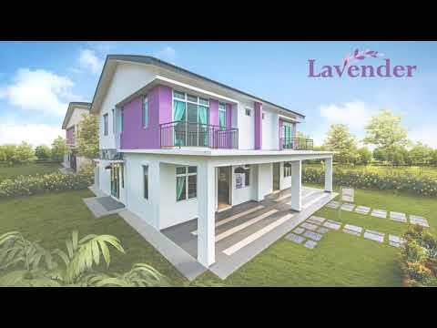 Lavender, Scientex Pulai video
