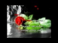 Seal - Kiss from a rose Karaoke Instrumental ...