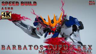 WOLF MODEL BARBATOS LUPUS REX MG 1/100ㅣSpeed BuildㅣModel KitㅣASMR Build