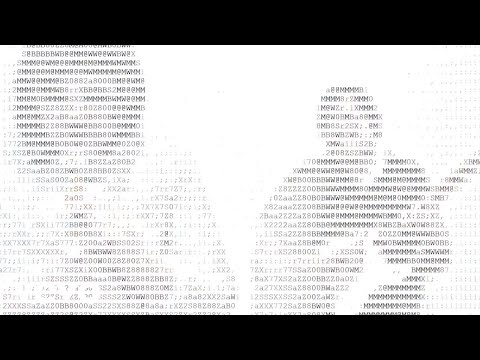 Poingly - The Night Is Lit