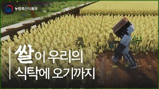 마인크래프트로 보는 쌀이 우리의 식탁에 오기까지 걸리는 시간  | 농업인의 날 | 메타버스